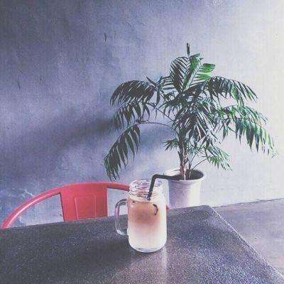 忍者手里剑游戏下载