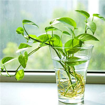 蜀山问情bt版下载